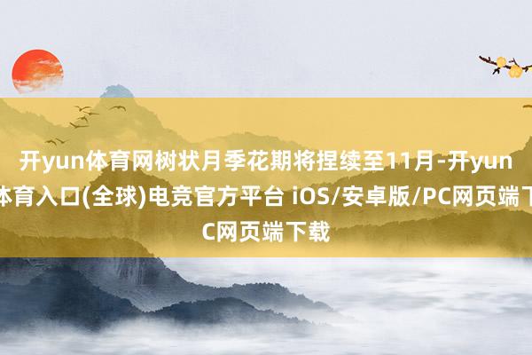 开yun体育网树状月季花期将捏续至11月-开yun云体育入口(全球)电竞官方平台 iOS/安卓版/PC网页端下载