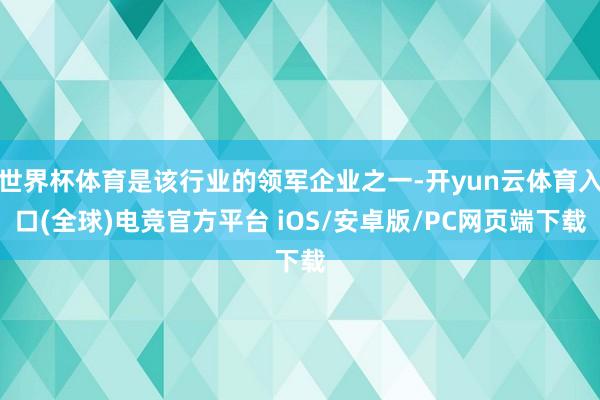 世界杯体育是该行业的领军企业之一-开yun云体育入口(全球)电竞官方平台 iOS/安卓版/PC网页端下载