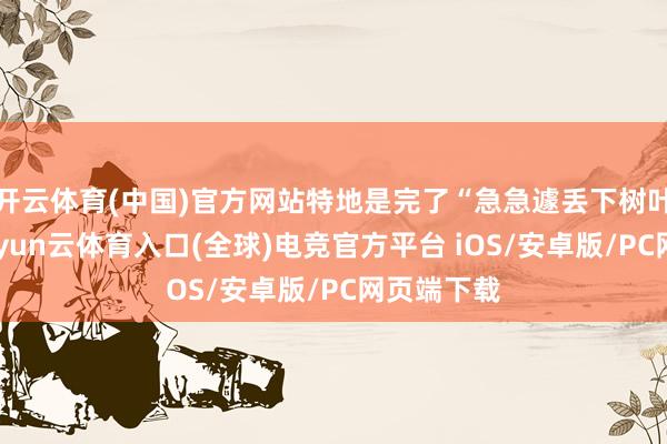 开云体育(中国)官方网站特地是完了“急急遽丢下树叶资产”-开yun云体育入口(全球)电竞官方平台 iOS/安卓版/PC网页端下载