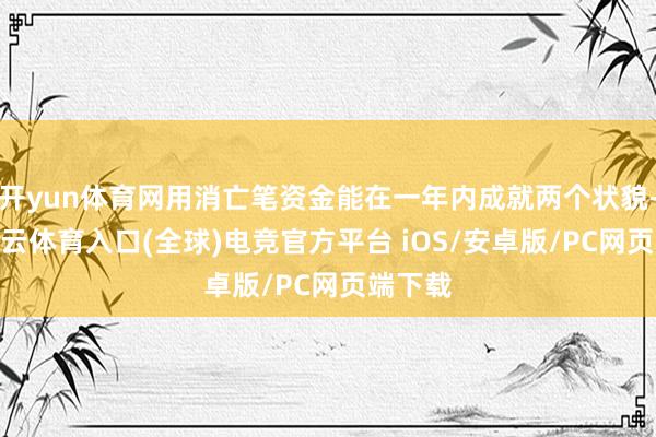 开yun体育网用消亡笔资金能在一年内成就两个状貌-开yun云体育入口(全球)电竞官方平台 iOS/安卓版/PC网页端下载
