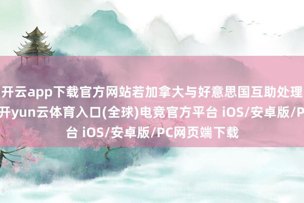 开云app下载官方网站若加拿大与好意思国互助处理芬太尼问题-开yun云体育入口(全球)电竞官方平台 iOS/安卓版/PC网页端下载