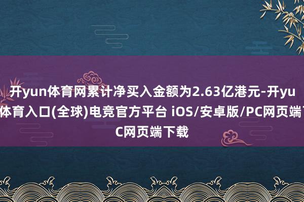 开yun体育网累计净买入金额为2.63亿港元-开yun云体育入口(全球)电竞官方平台 iOS/安卓版/PC网页端下载