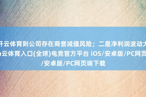 开云体育则公司存在商誉减值风险；二是净利润波动大-开yun云体育入口(全球)电竞官方平台 iOS/安卓版/PC网页端下载