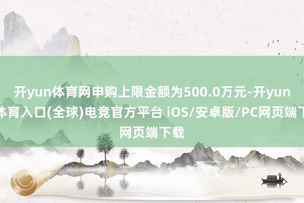 开yun体育网申购上限金额为500.0万元-开yun云体育入口(全球)电竞官方平台 iOS/安卓版/PC网页端下载