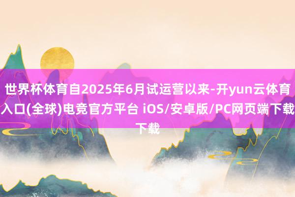 世界杯体育自2025年6月试运营以来-开yun云体育入口(全球)电竞官方平台 iOS/安卓版/PC网页端下载